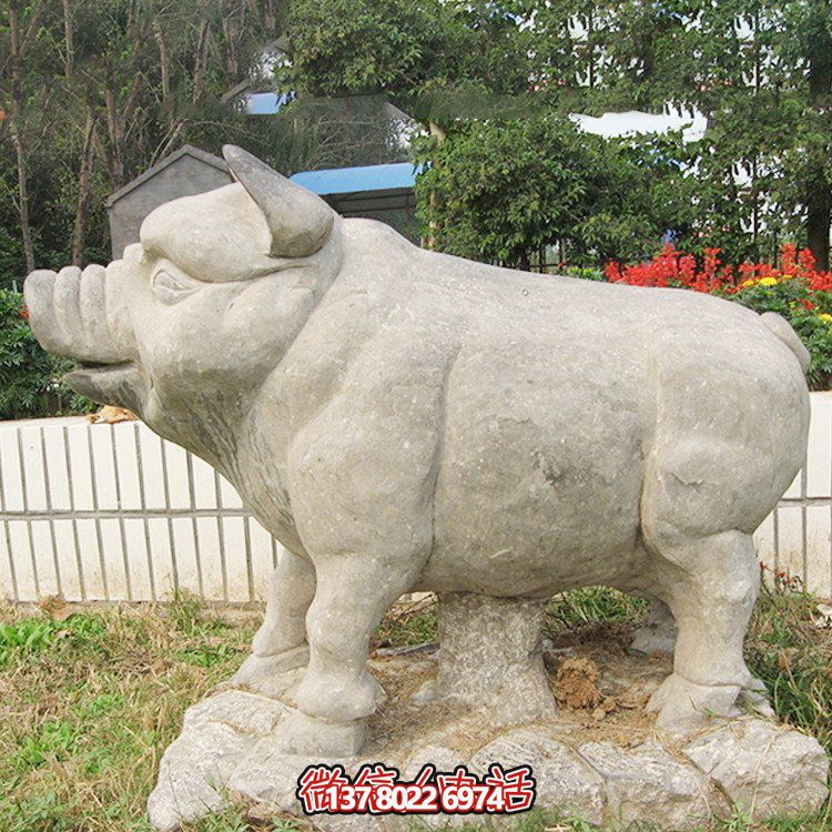 石雕豬，憨態(tài)可掬的大肥豬